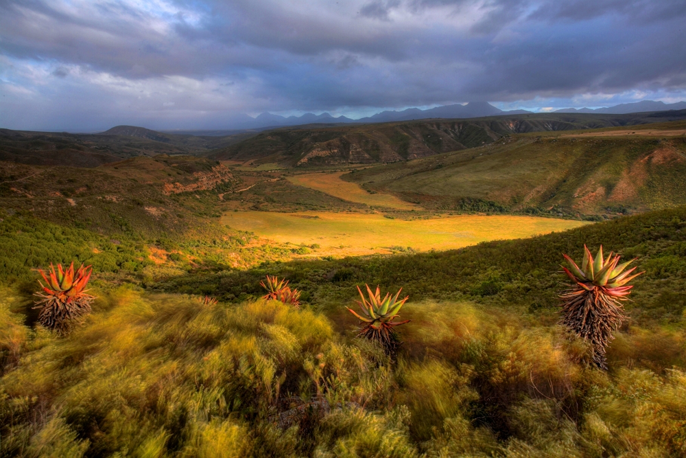 Das Nauga Valley - Gondwana Game Reserve