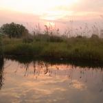 Per Boot durch das Okavango Delta