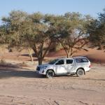 Als Selbstfahrer unterwegs in Namibia