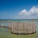 Traditionelle Fischfallen der Tsonga am Kosi Lake 