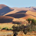 Namibia Rundreise - in der Namib Wüste 