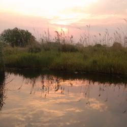 Unterwegs per Boot im Okavango Delta