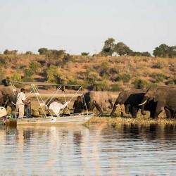 Bootsfahrt auf dem Chobe Fluss in Kasane 