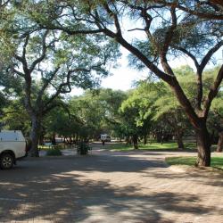 Letaba Camp im Krüger Nationalpark