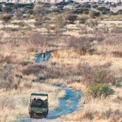 In der Kalahari 
