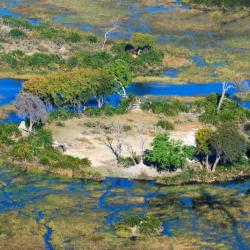 Das Okavango Delta aus der Luft erleben - Inseln im Wasser 