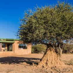 Okonjima Plains Camp Chalet 