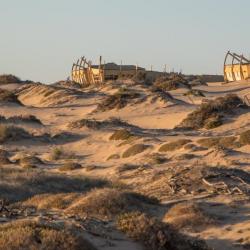 Skeleton Coast National Park - Dünenlandschaft 