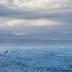 Whale Whatching Hermanus © Doris Jachalke 