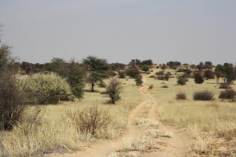 Der Mabuasehube Trail im Kgalagadi Transfrontier NP