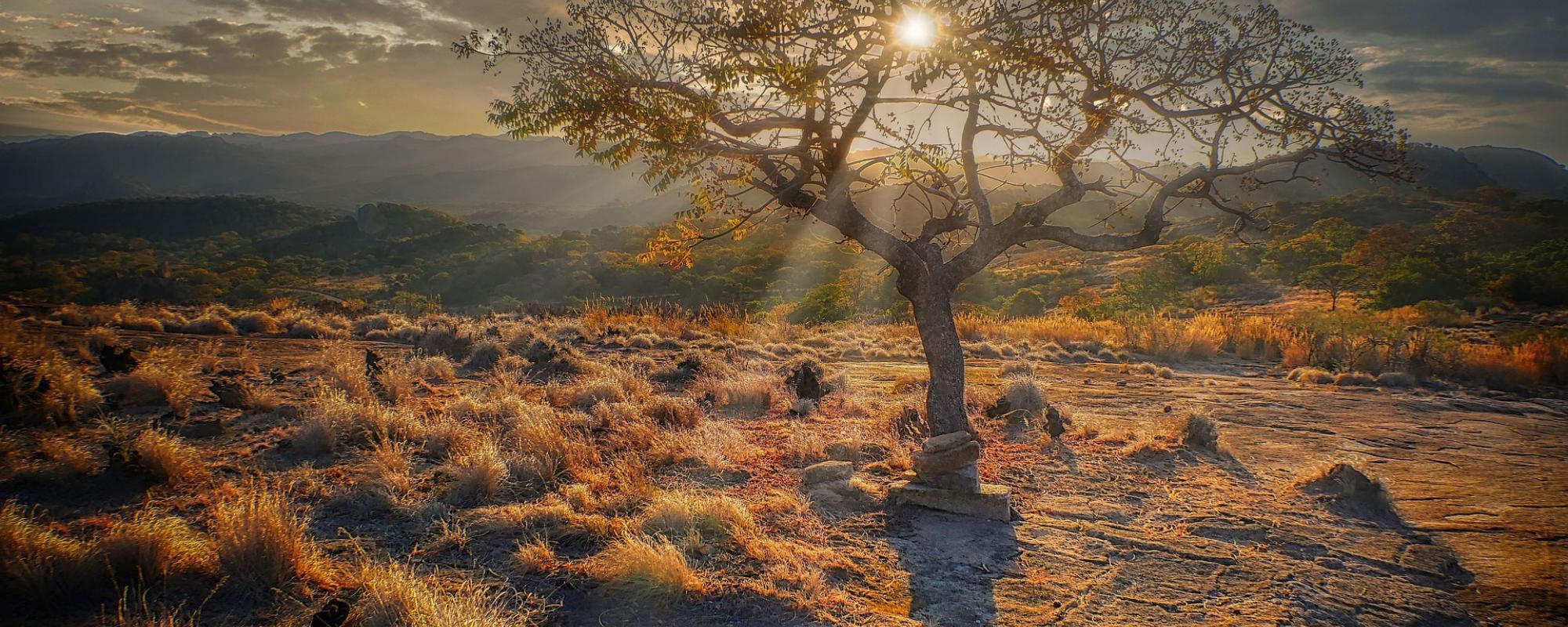 simbabwe  by fietzfotos - kalahari calling
