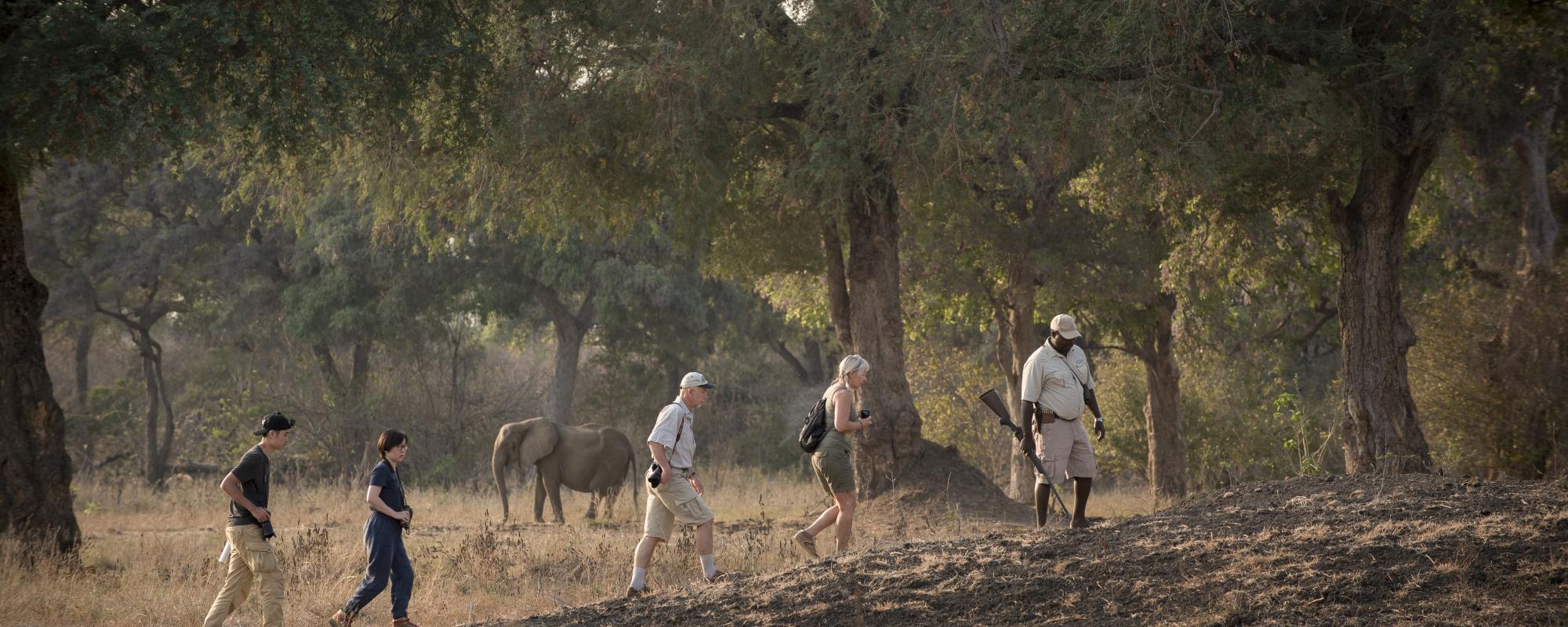 Fußsafari in Zimbabwe