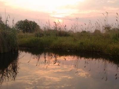 Per Boot durch das Okavango Delta