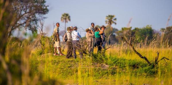 Auf Safari zu Fuß im Okavango Delta