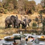 Aussicht von der Simbavati River Lodge