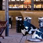 Die Bar im Planet Baobab