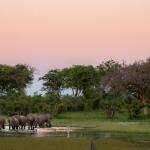 Die Mogothlo Concession in Botswana 
