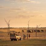 Fothergill Island - Safarifahrt