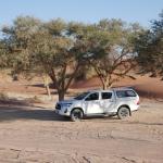 Als Selbstfahrer unterwegs in Namibia