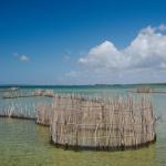 Traditionelle Fischfallen der Tsonga am Kosi Lake 