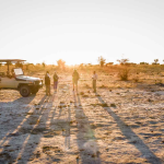 Sundowner Time im Okavango Delta 