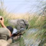 Mokoro Tour in Botswana im Okavango Delta 
