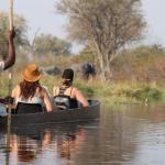 Safari per Mokoro in Khwai im Okavango Delta 