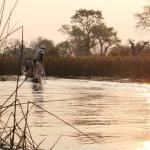 Mokorofahrt im Okavango Delta bei Khwai