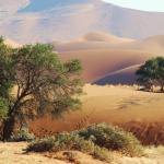 Die Namib Wüste © Kalahari Calling