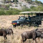 Ongava Private Game Reserve