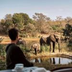 Simbavati River Lodge - Deck Game Watching 