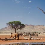 Am Wasserloch der We Kebi Safari Lodge
