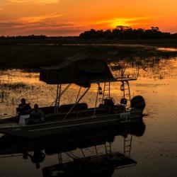 Sunset Bootstour auf dem Thamalakane Fluss