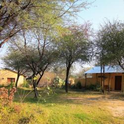 Boteti River Camp, als Selbstfahrer in Botswana