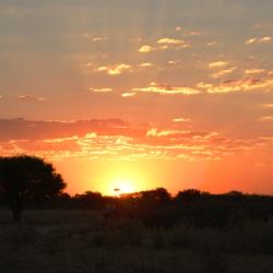 Kalahari Sonnenuntergang
