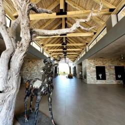 Kapama River Lodge 