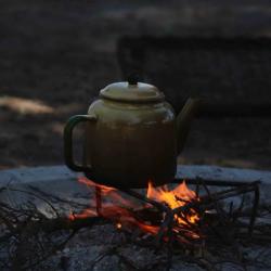 Kochen am Lagerfeuer - Central Kalahari Game Reserve