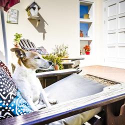 Meike's Guesthouse 