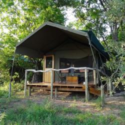 Sango Safari Camp Zeltchalets - komfortabel wohnen auf Safari in Botswana