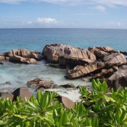 Granitfelsen auf La Digue 