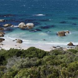 Simons Town