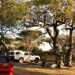Khama Rhino Campsite im März