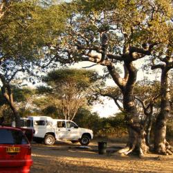 Khama Rhino Campsite im März