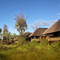 Chalets - Nata Lodge