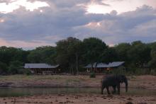 Elefant im Verney's Camp