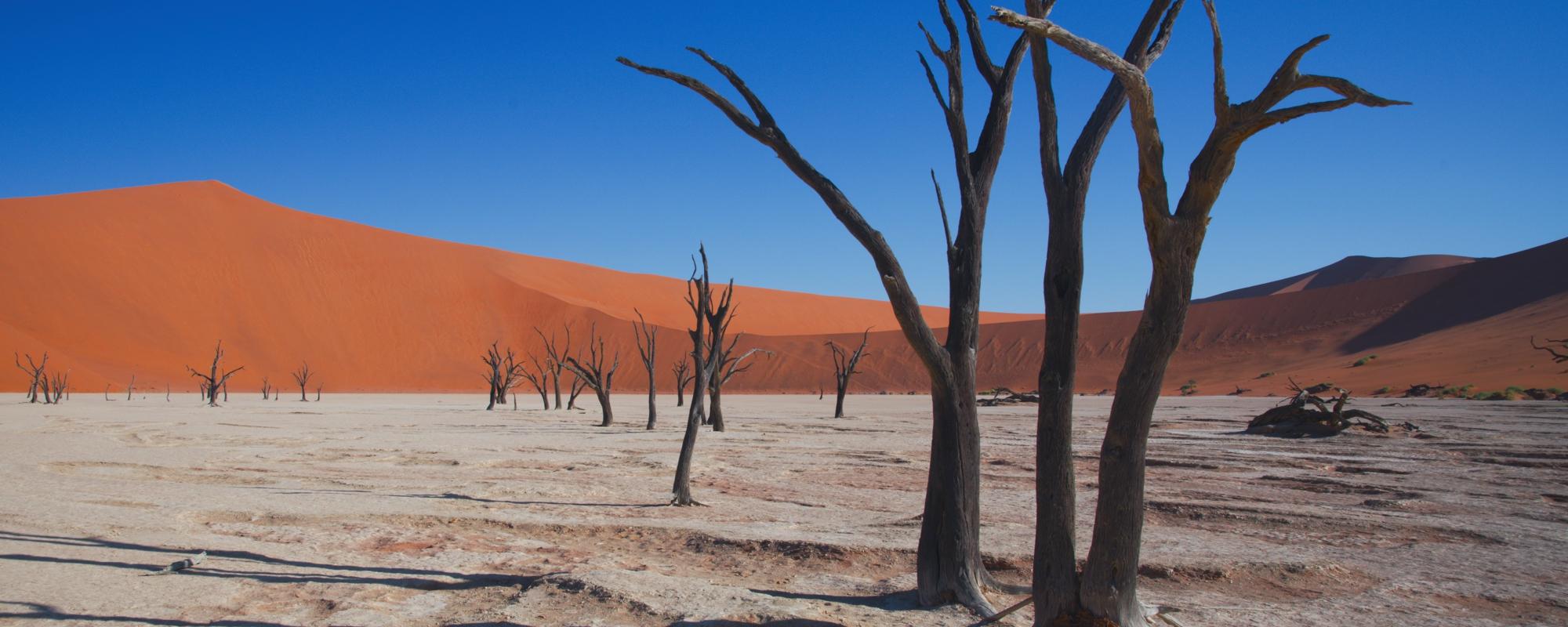 Deadvlei, Namibia