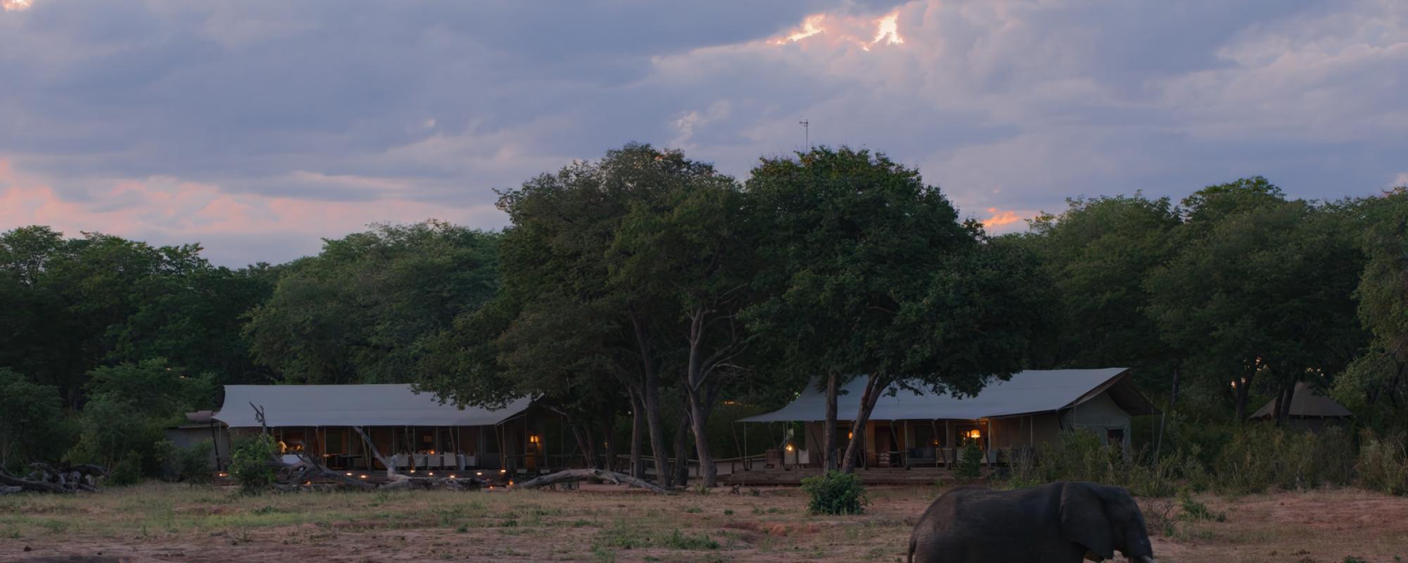 Elefant im Verney's Camp