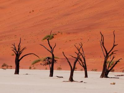 Dead Vlei, Namibia