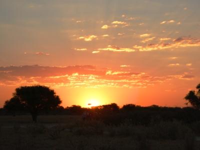 Kalahari Sonnenuntergang