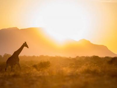 Kapama Game Reserve - Landschaft 